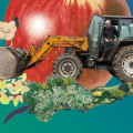 Mobilisons-nous pour la fin des pesticides !